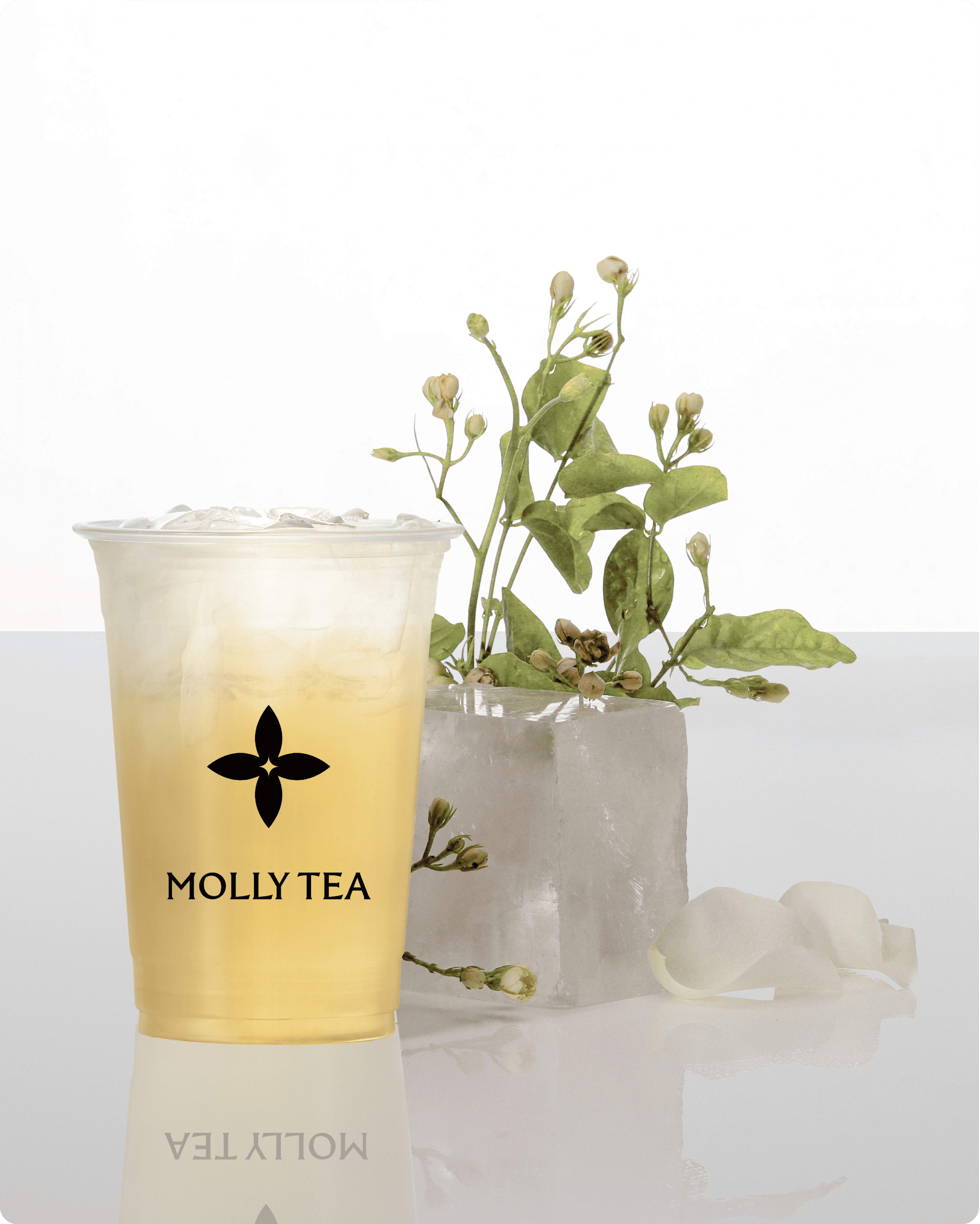 Premium Iced Tea